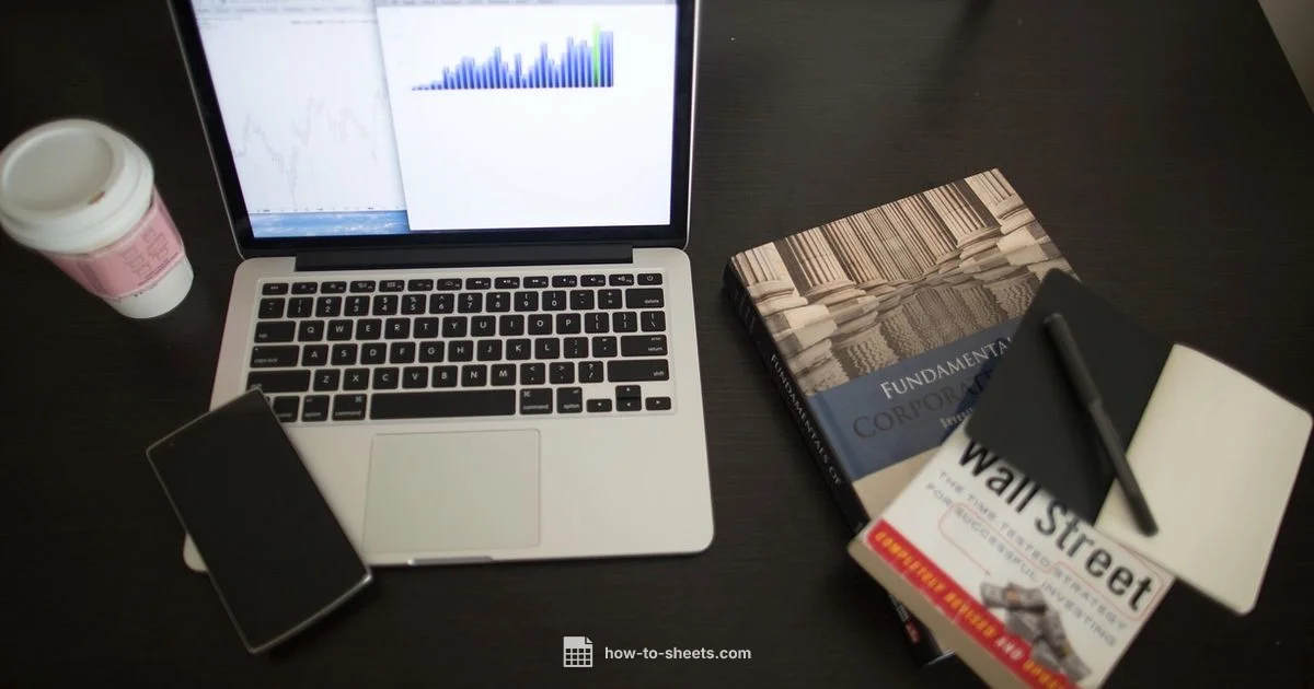 P&L Template - How To Sheets