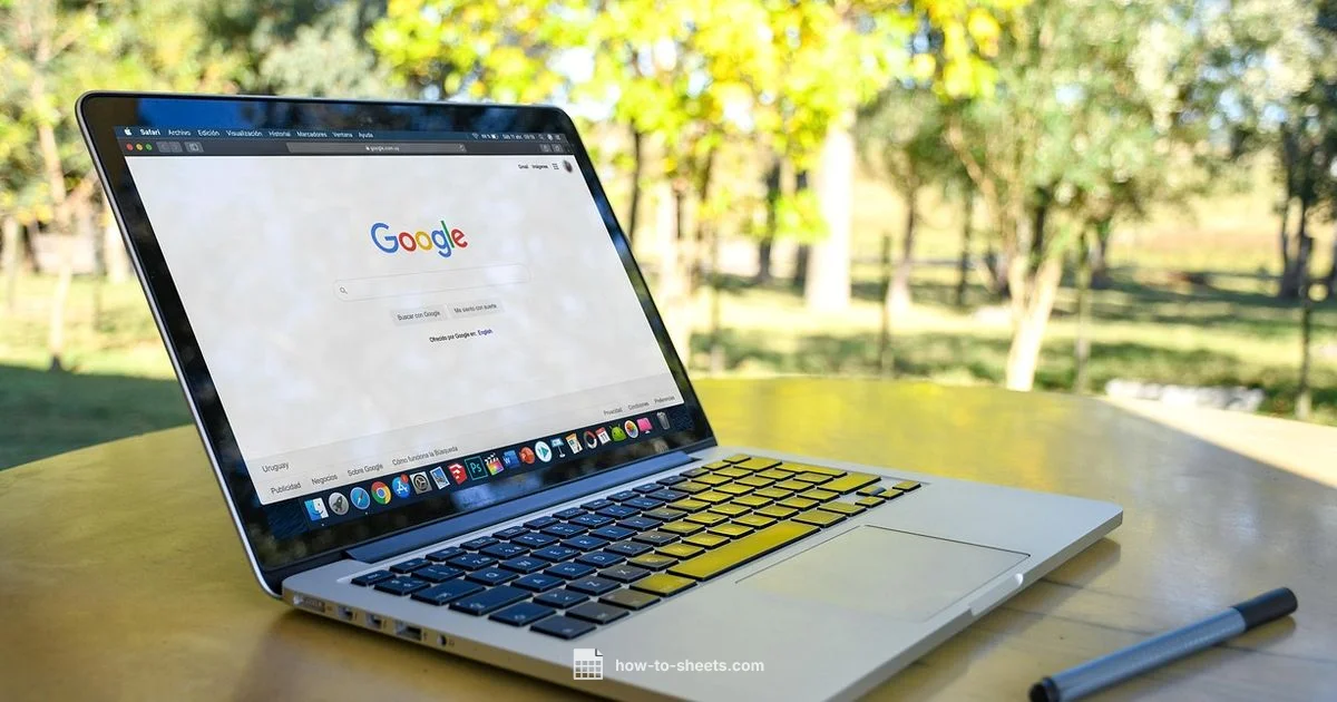 Google Docs on Mac - How To Sheets