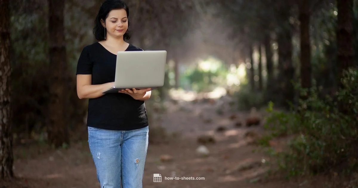 Beginner Formulas - How To Sheets