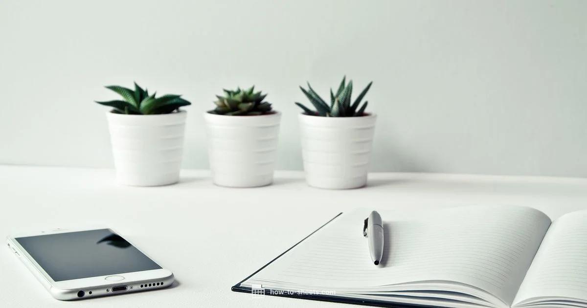 Google Docs vs OneNote - How To Sheets