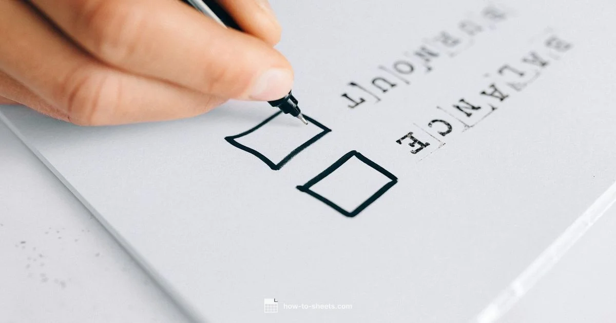 Checkbox setup in Sheets Checkbox setup in Sheets - How To Sheets