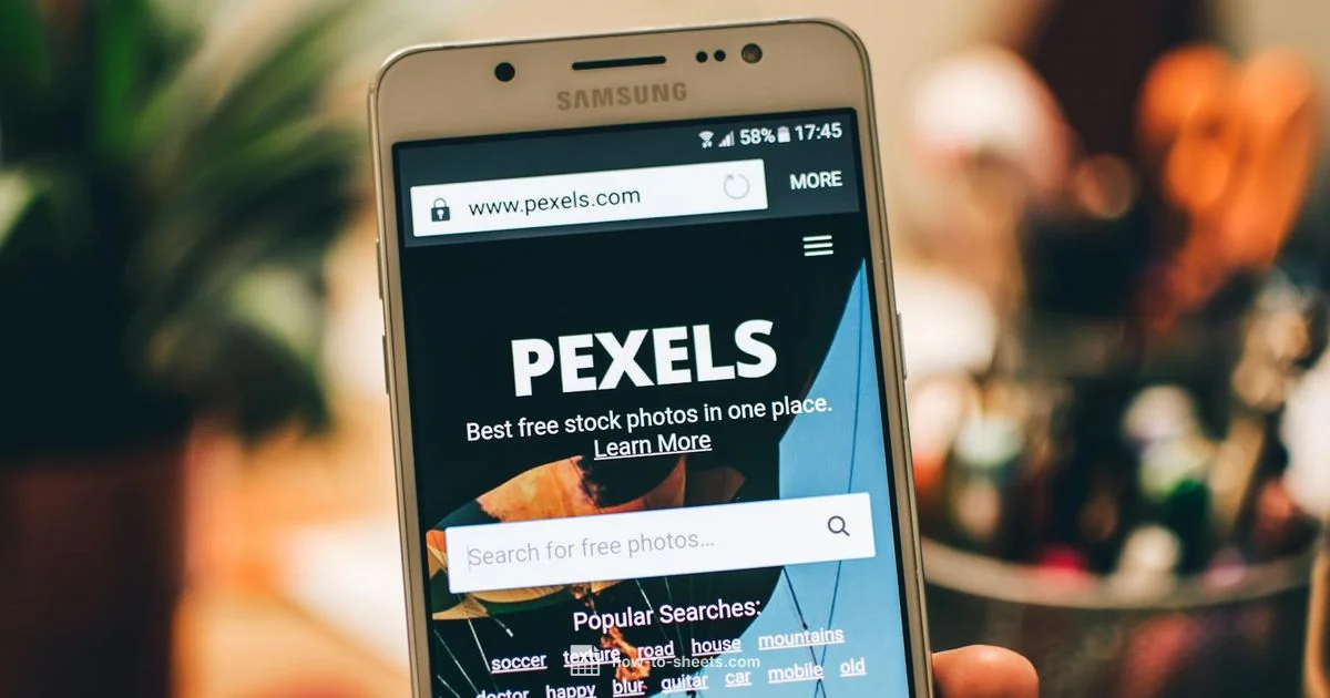Doc URL Basics - How To Sheets