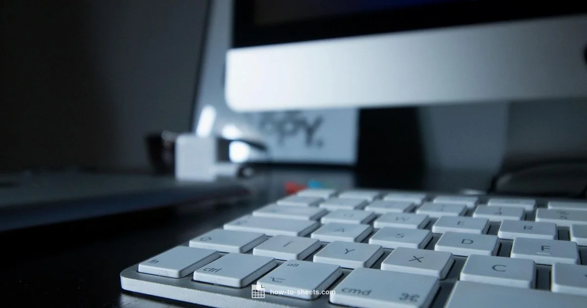 Sheets vs Excel Sheets vs Excel - How To Sheets