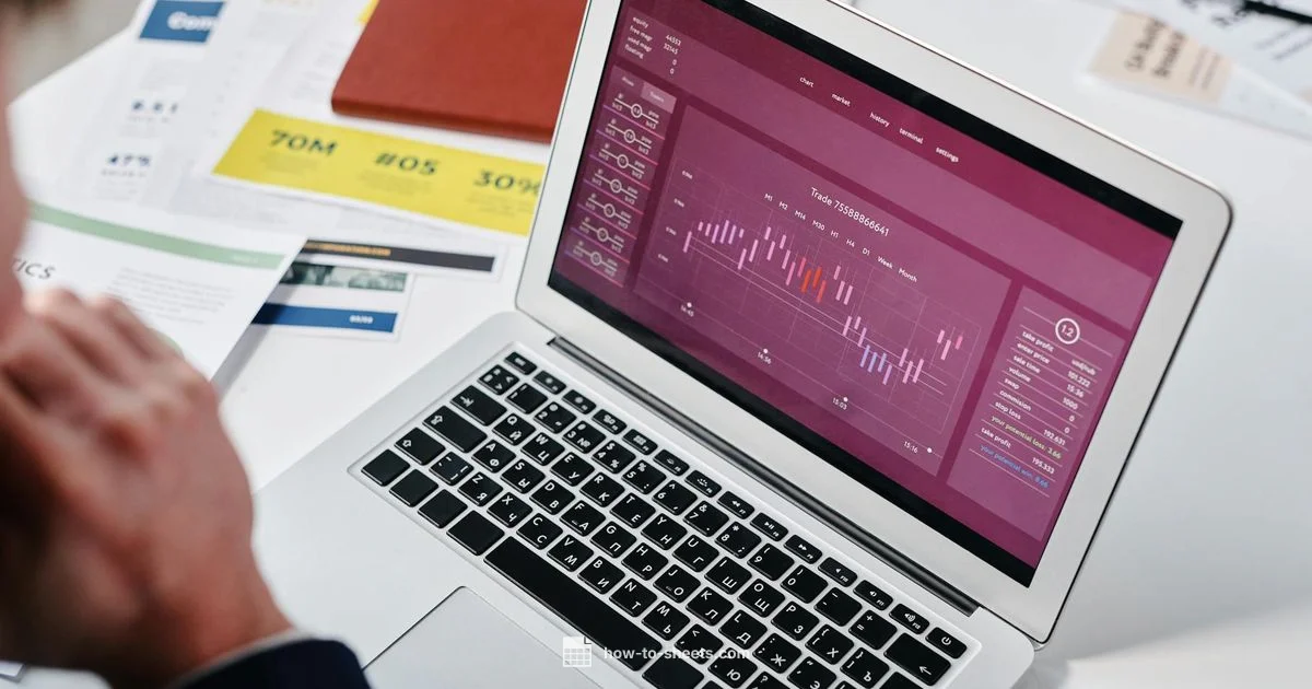 Sheets to BI Integration - How To Sheets