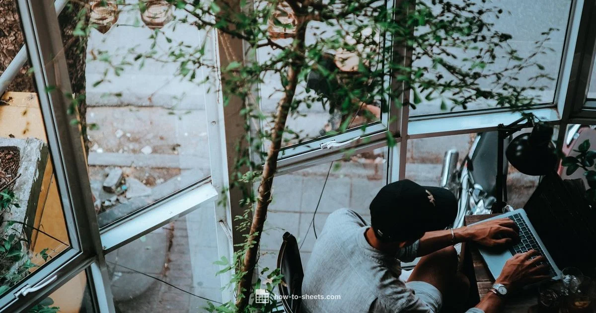 Google Sheets Basics - How To Sheets