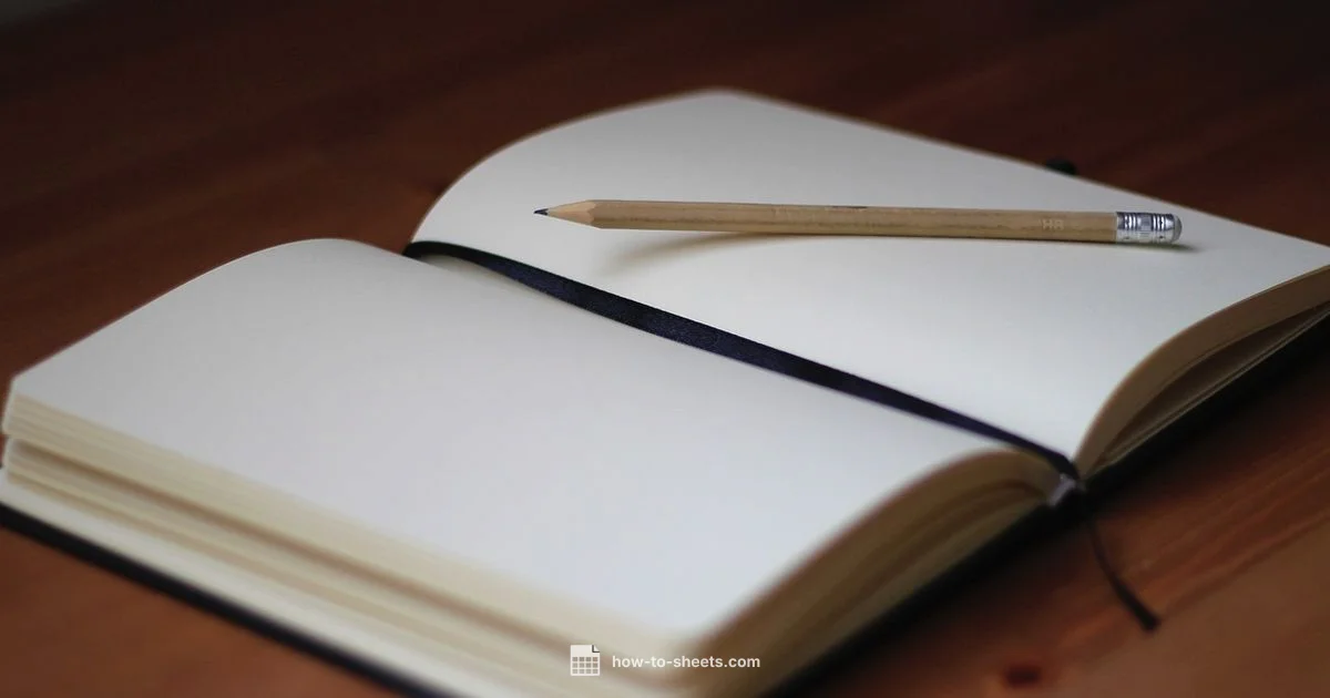 Daily Task Tracker - How To Sheets