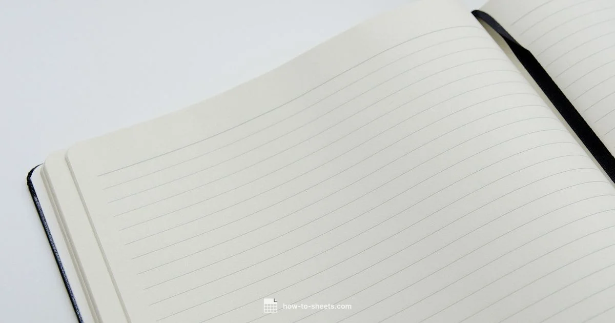 Sheets vs Word - How To Sheets