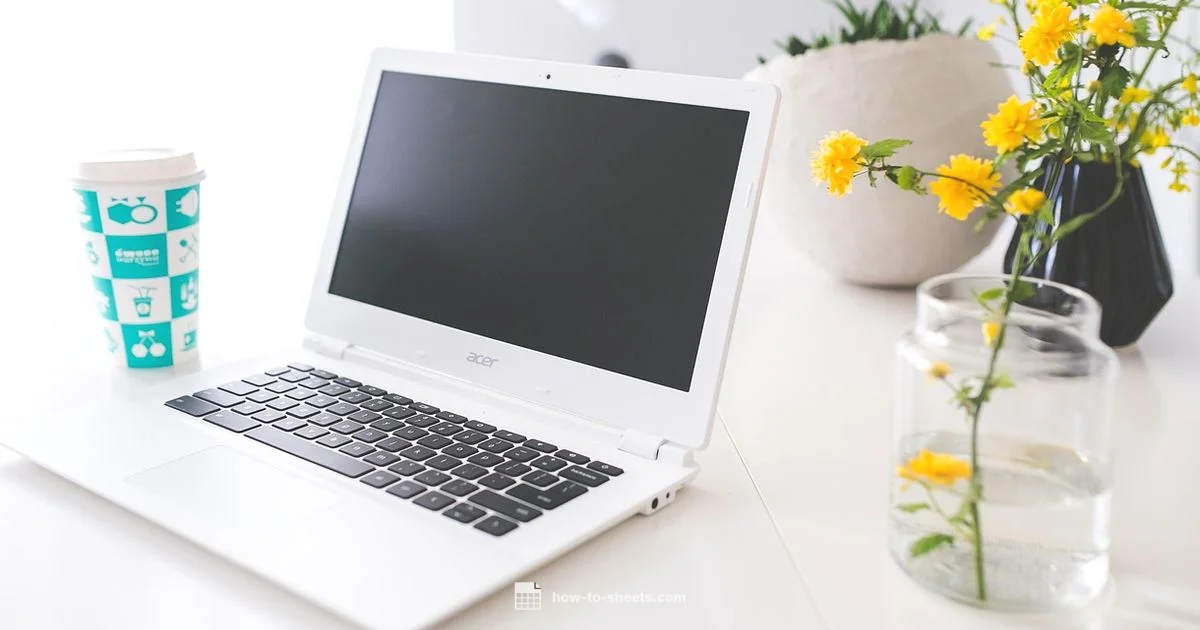 Blank Sheets Fix Blank Sheets Fix - How To Sheets