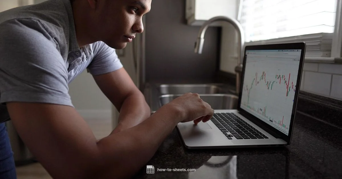 Portfolio Tracker Guide - How To Sheets