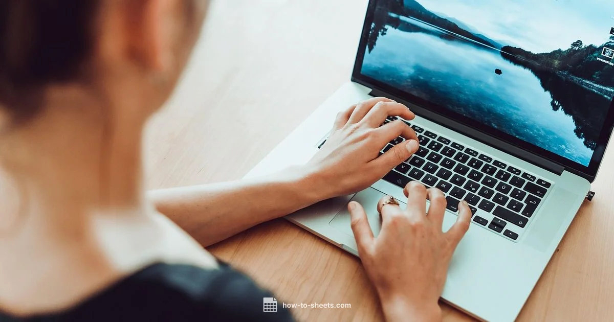 Expense Template in Sheets - How To Sheets