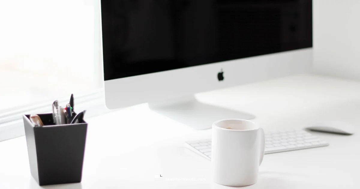 Sheets Code Mastery - How To Sheets