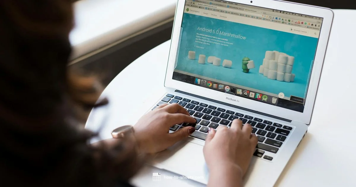 Sheets on Win7 - How To Sheets