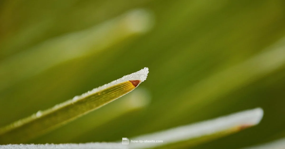 Lock Column in Sheets Lock Column in Sheets - How To Sheets