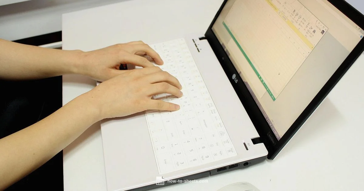 Docs Offline Extension - How To Sheets