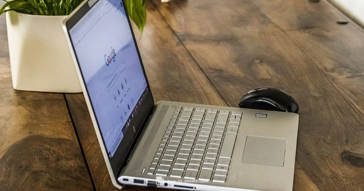 P&L in Sheets - How To Sheets