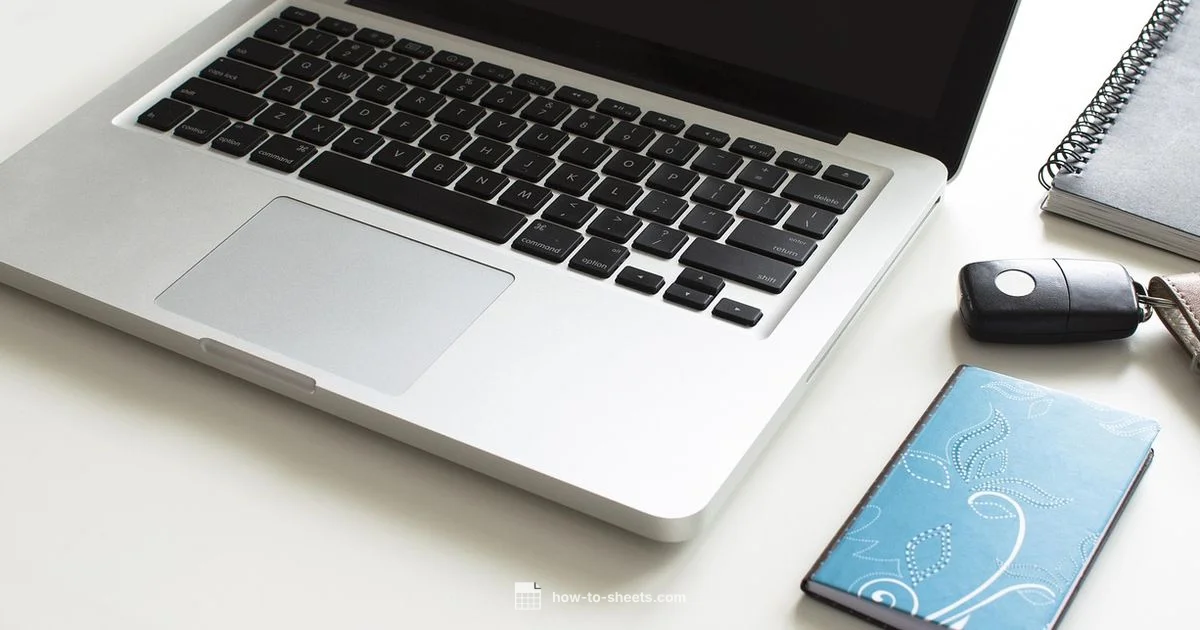 Google Sheets Web Guide - How To Sheets