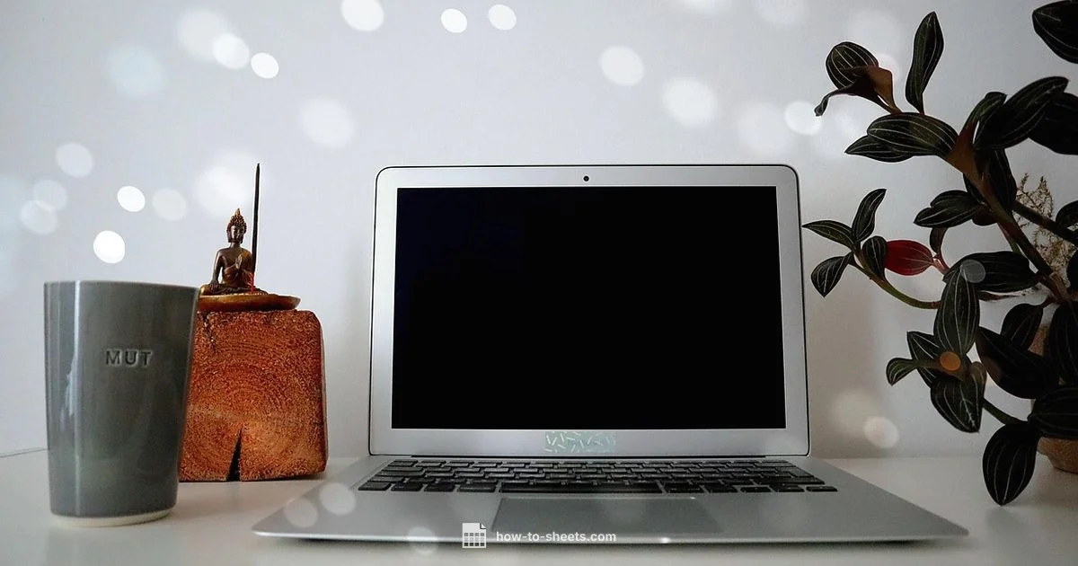 Budget with Sheets - How To Sheets