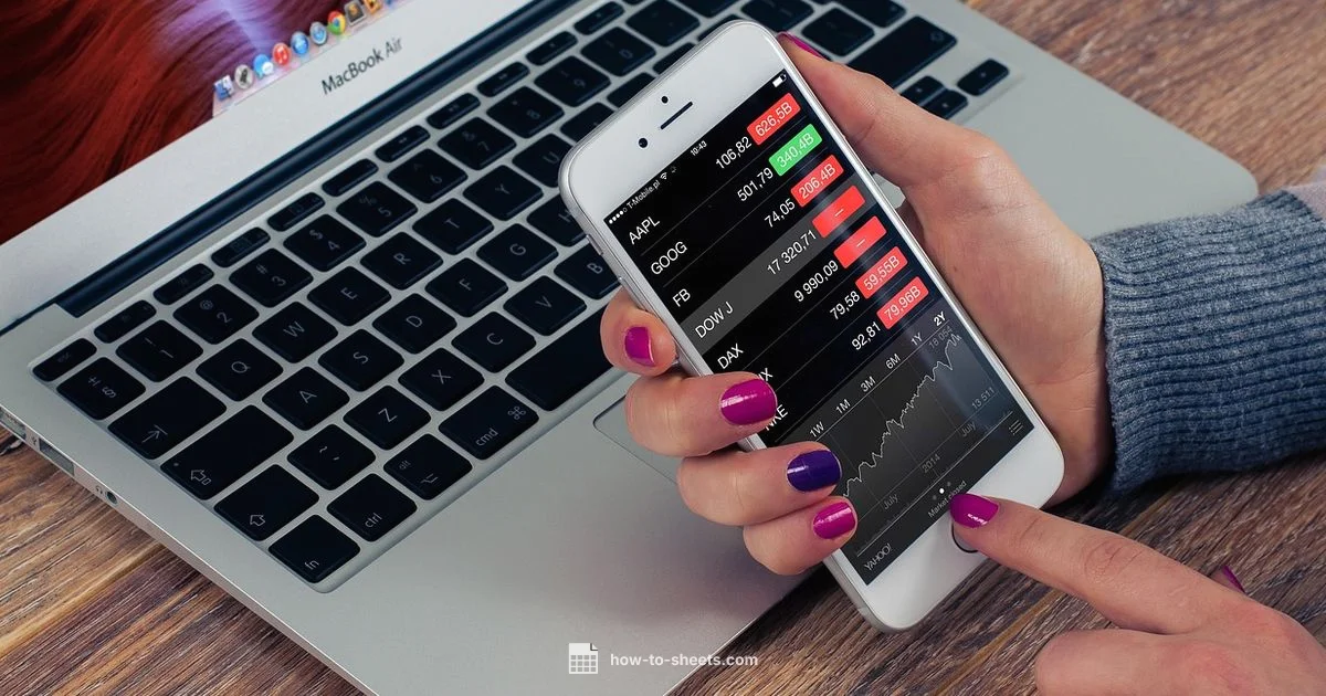 Google Sheets on Laptop - How To Sheets