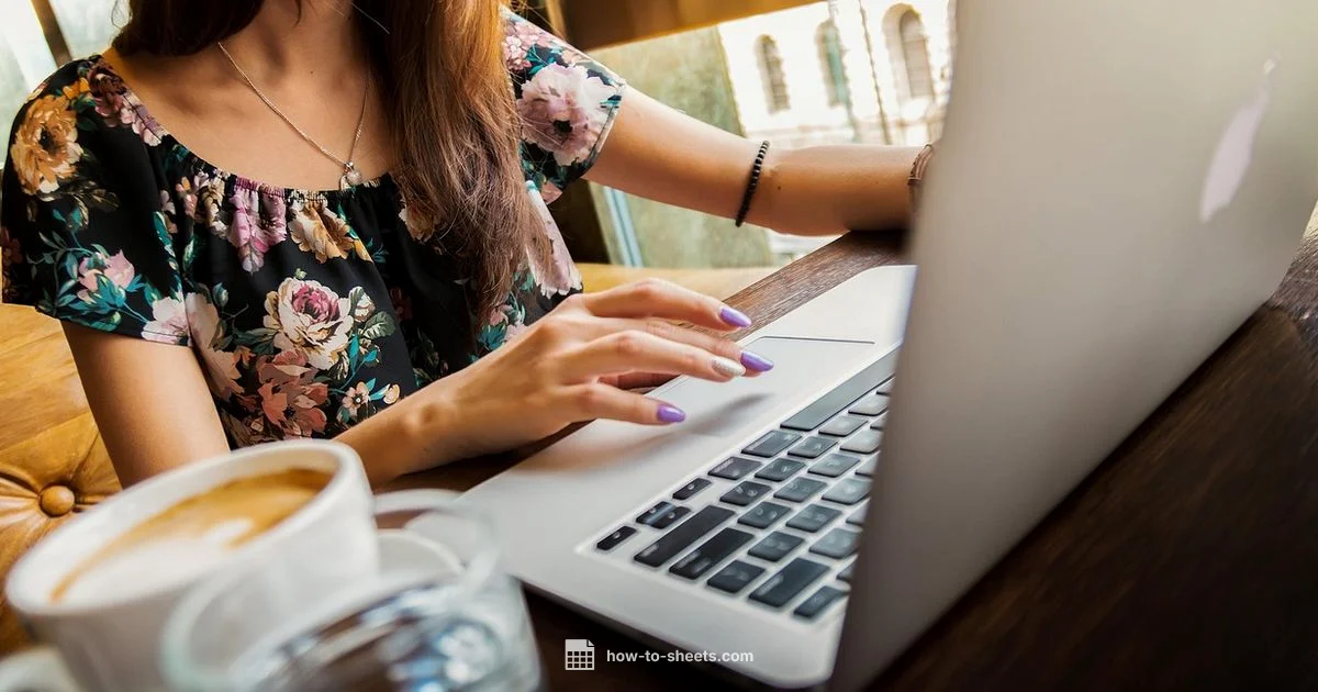 Hide Sheet Guide - How To Sheets