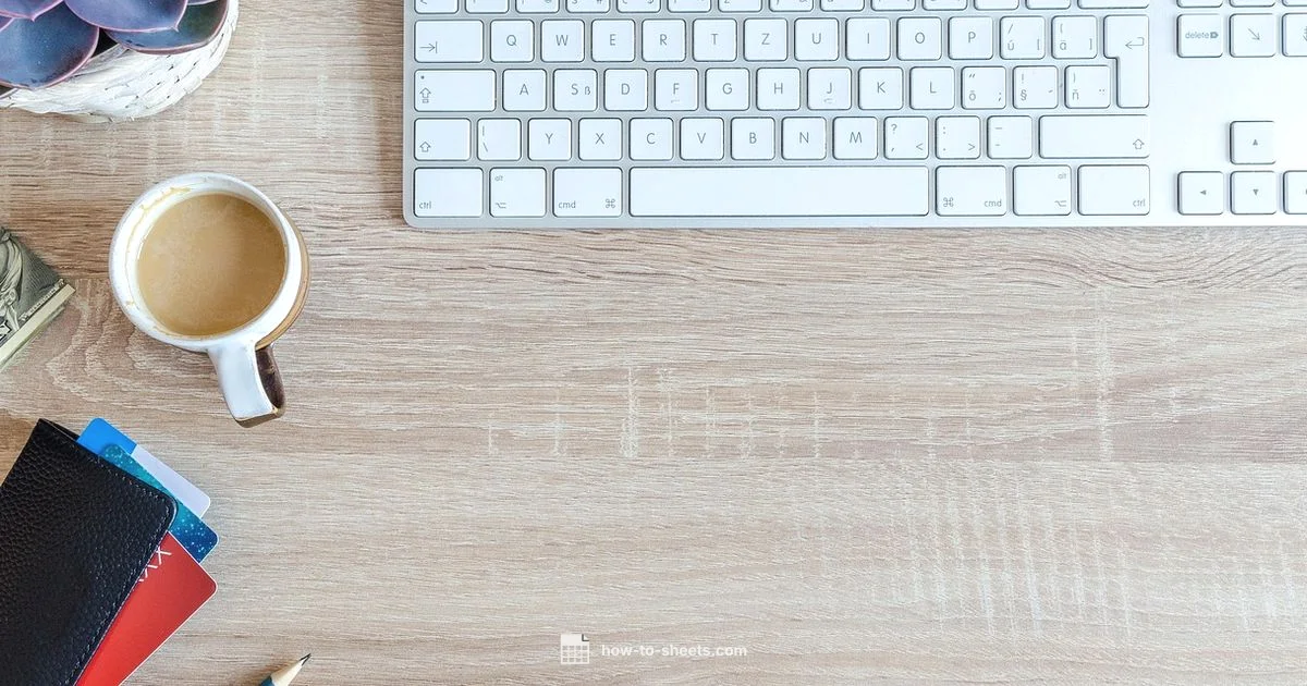 Spreadsheet Switch Guide - How To Sheets