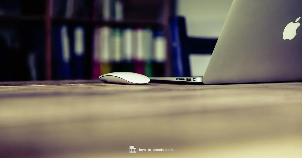 Docs vs Word - How To Sheets